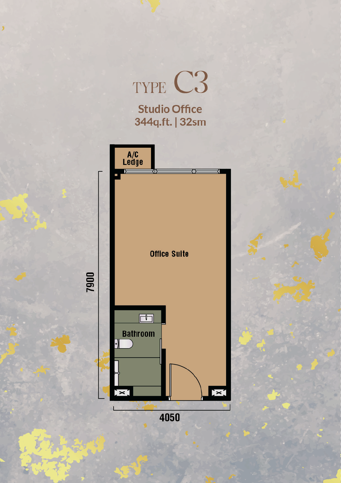 Type C3